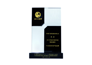 2012年度十大(dà)安全防範産品品牌（IB）