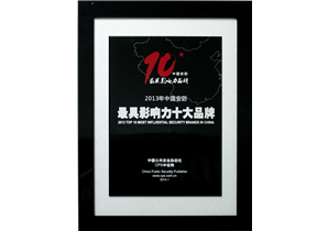 2013年中(zhōng)國安防最具影響力十大(dà)品牌