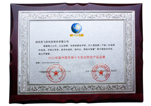 2013年度中(zhōng)國市場十大(dà)安全防範産品品牌
